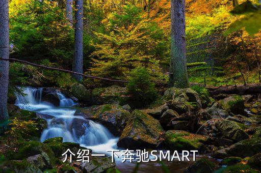 smart奔驰，smart是属于奔驰的