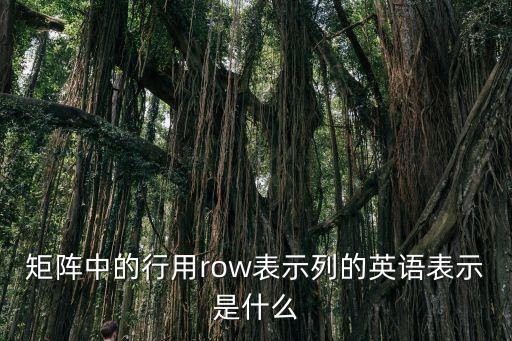 矩阵中的行用row表示列的英语表示是什么