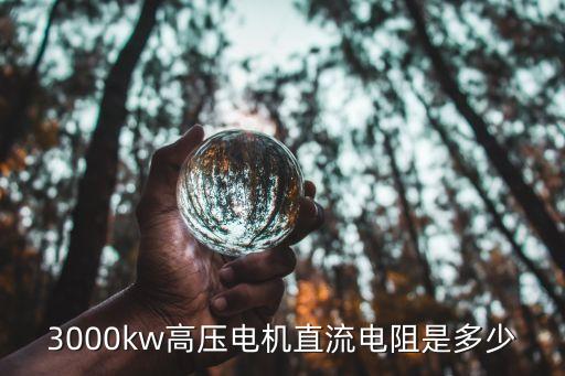 3000kw高压电机直流电阻是多少