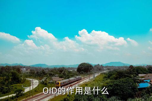 oid的作用是什么