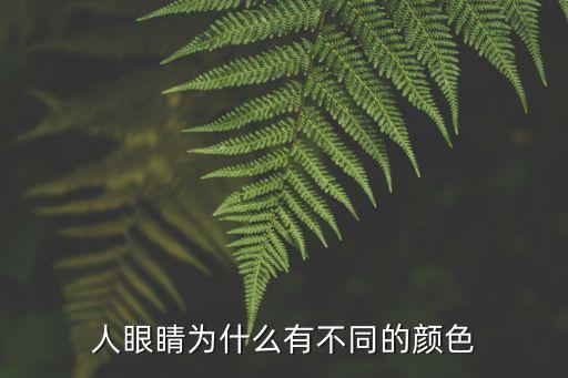 人眼睛为什么有不同的颜色