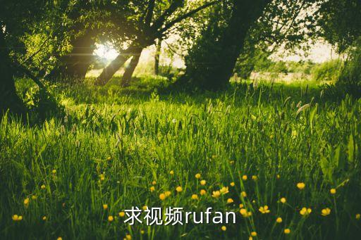 求视频rufan