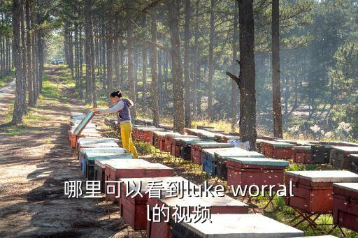 哪里可以看到luke worrall的视频