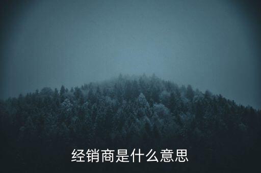 经销商是什么意思