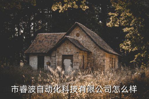 为睿自动化有限公司怎么样,南京锐控自动化有限公司怎么样?