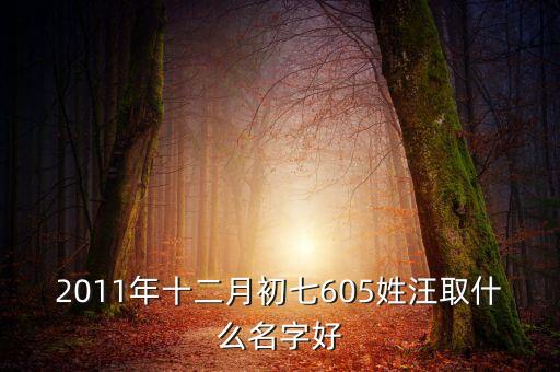 汪文涛，2011年十二月初七605姓汪取什么名字好