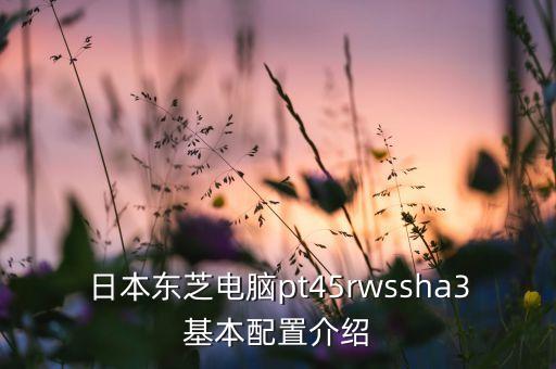 sha3，傻傻爱的拼音怎么拼