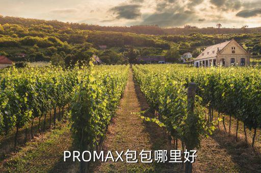 promax包包哪里好