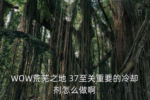 wow荒芜之地 37至关重要的冷却剂怎么做啊