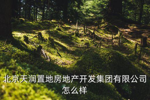 北京天润置地房地产开发集团有限公司怎么样