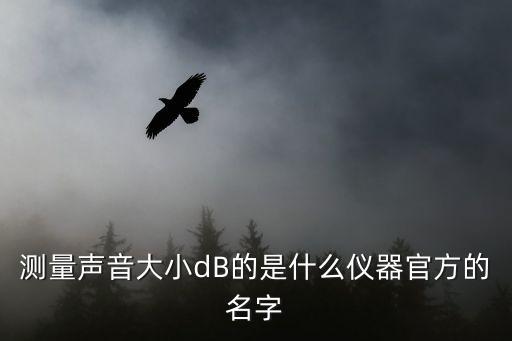 测量声音大小db的是什么仪器官方的名字