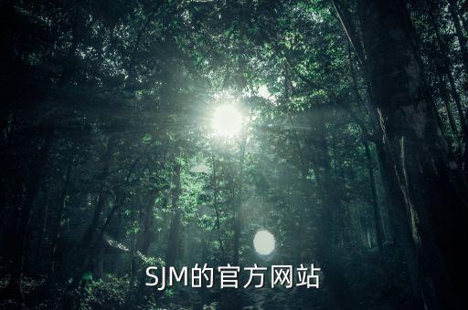 创客学院pg电子游戏试玩平台网站官网，sjm的官方网站