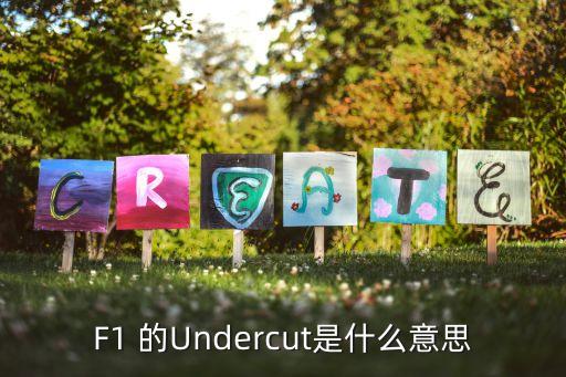 f1 的undercut是什么意思