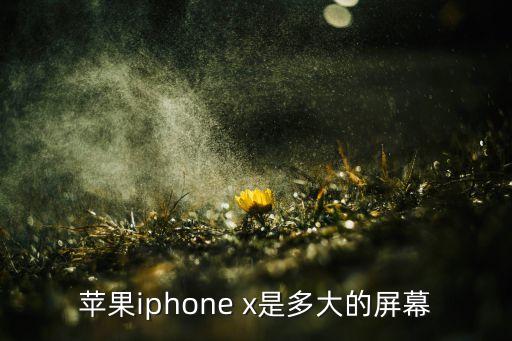 苹果iphone x是多大的屏幕