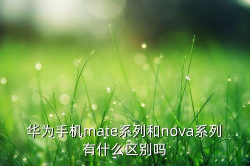 mate系列，华为手机mate系列和nova系列有什么区别吗