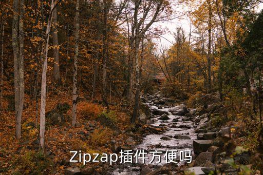 zipzap插件方便吗