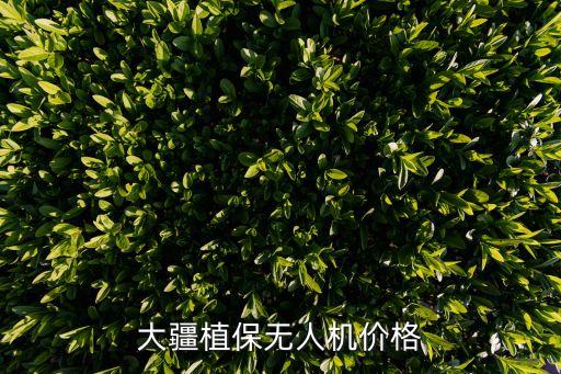 大疆植保无人机价格