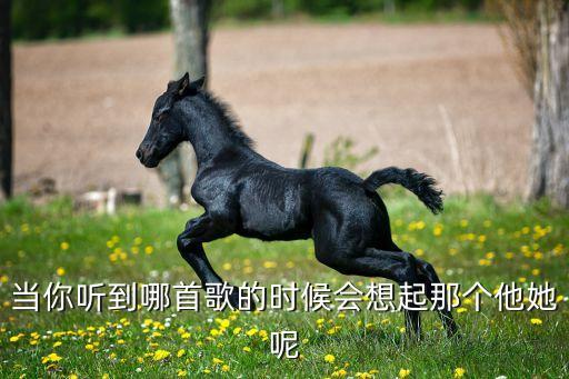 当你听到哪首歌的时候会想起那个他她呢