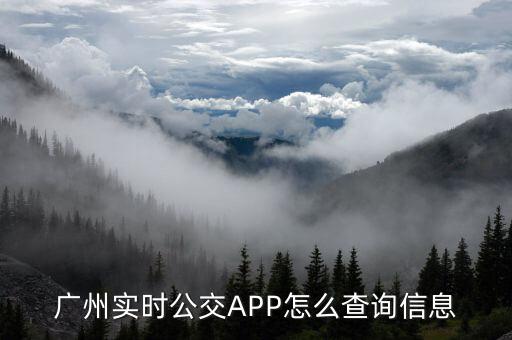 广州实时公交app怎么查询信息