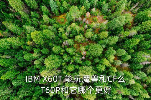 ibm x60t 能玩魔兽和cf么 t60p和它哪个更好