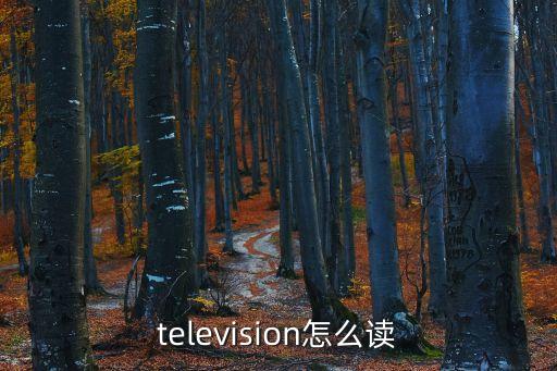 television怎么读