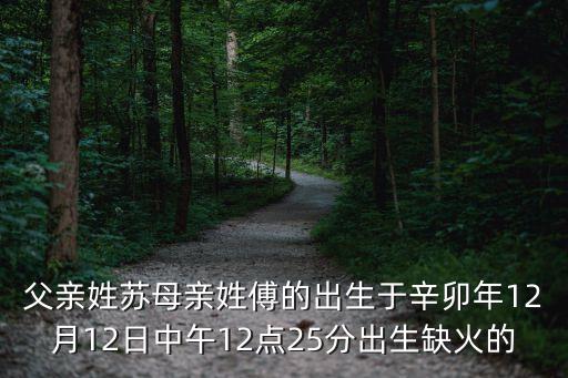 父亲姓苏母亲姓傅的出生于辛卯年12月12日中午12点25分出生缺火的