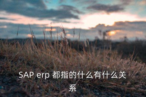 sap erp 都指的什么有什么关系