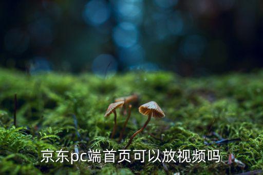 京东pc端pg电子游戏试玩平台网站首页可以放视频吗