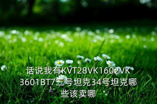 话说我有kvt28vk1602vk3601bt7三号坦克34号坦克哪些该卖哪