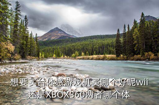 想要买台体感游戏机买哪个好呢wii还是xbox360两者哪个体