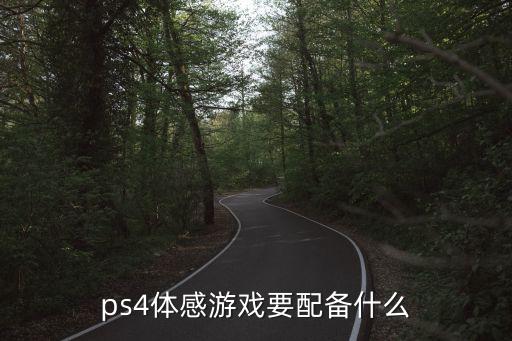 ps4体感游戏要配备什么