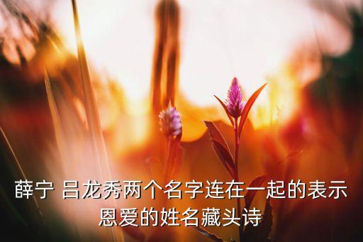 薛宁 吕龙秀两个名字连在一起的表示恩爱的姓名藏头诗