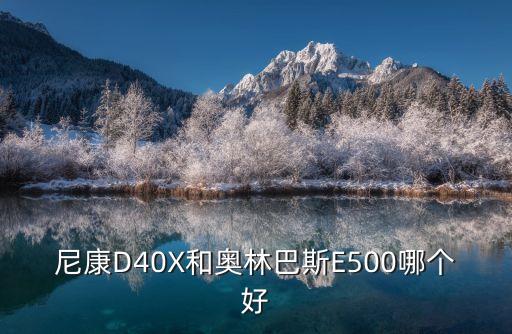 尼康d40x和奥林巴斯e500哪个好