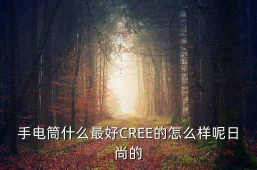 手电筒什么最好cree的怎么样呢日尚的