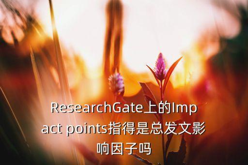 researchgate上的impact points指得是总发文影响因子吗