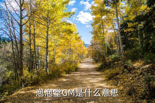 泡泡堂gm是什么意思