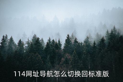 114网址导航怎么切换回标准版