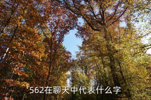 562在聊天中代表什么字