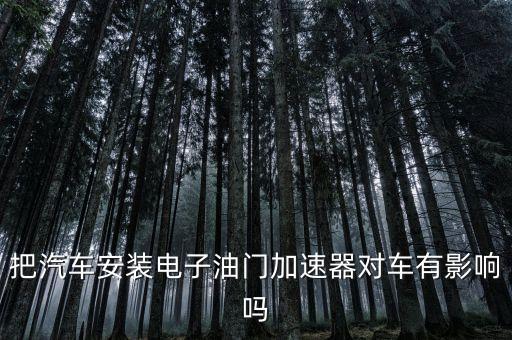 把汽车安装电子油门加速器对车有影响吗