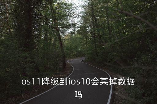 os11降级到ios10会某掉数据吗