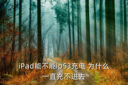 ipad能不能ip53充电 为什么一直充不进去