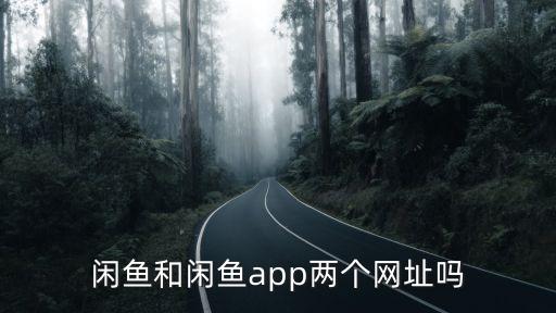 闲鱼和闲鱼app两个网址吗