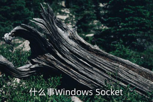 什么事windows socket