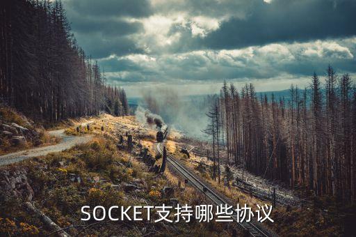 socket协议，socket支持哪些协议