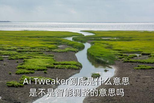 ai tweaker到底是什么意思是不是智能调整的意思吗