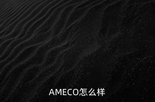 ameco怎么样