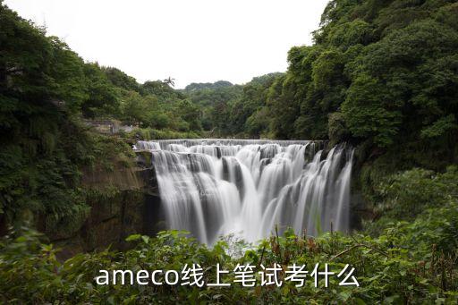 ameco线上笔试考什么