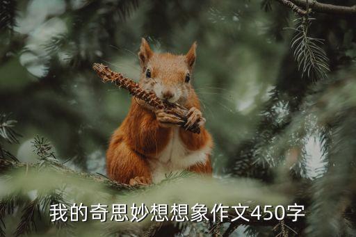 我的奇思妙想想象作文450字