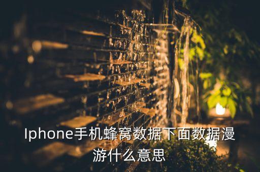 iphone手机蜂窝数据下面数据漫游什么意思