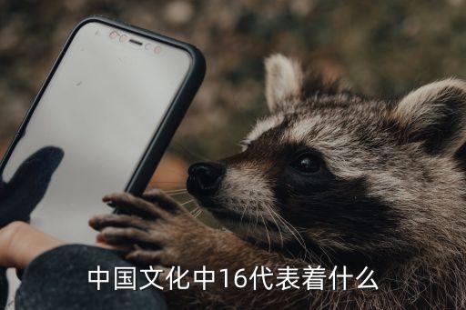 16，16是什么意思